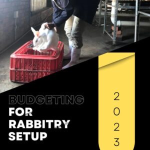 Budgeting for Rabbitry Setup Budgeting for Rabbitry Setup