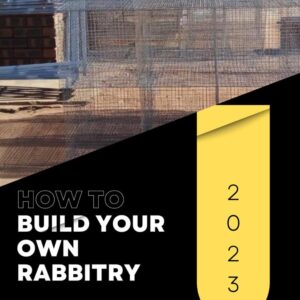 How to Build Your Own Rabbitry How to Build Your Own Rabbitry