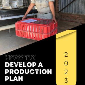 How to Develop a Production Plan How to Develop a Production Plan