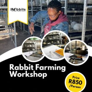 Rabbit Farming Workshop Rabbit Farming Workshop