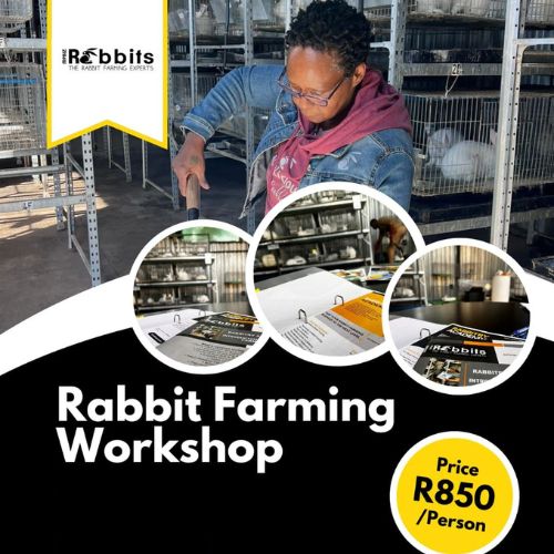 Rabbit Farming Workshop Rabbit Farming Workshop