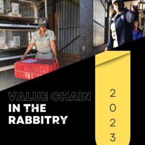 Value Chain in the Rabbitry Value Chain in the Rabbitry