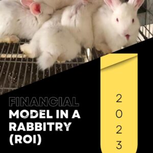 WhatsApp Image 2023-12-05 at 14.17.30 Financial Model in a Rabbitry (ROI)