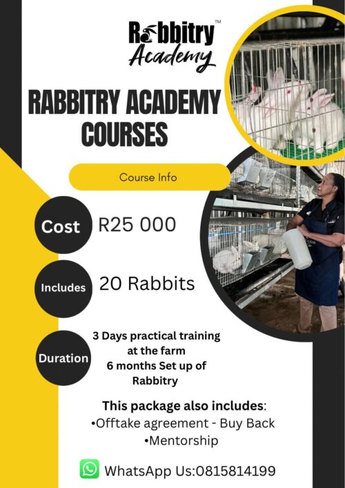 WhatsApp Image 2026-05-14 at 11.22.49 Rabbitry Academy Commercial