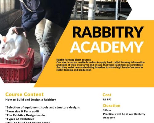 858bfc76-9ed4-440d-ab2c-fc82fff318b1 How to Build and Design a Rabbitry